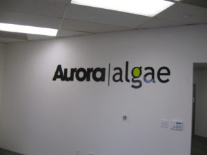 Aurora Algae Wall Lettering