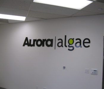 Aurora Algae Wall Lettering