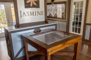 Jasmine Custom Cabinet